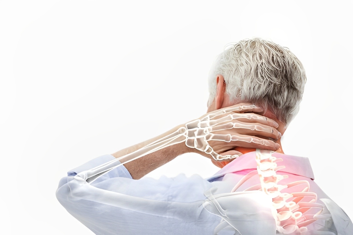 Anatomia da coluna vertebral e pontos sensíveis de dor